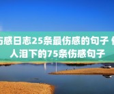 伤感日志25条最伤感的句子 催人泪下的75条伤感句子