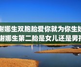 谢娜生双胞胎爱你就为你生娃 谢娜生第二胎是女儿还是男孩