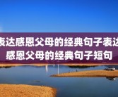 表达感恩父母的经典句子表达感恩父母的经典句子短句