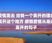 爱情离去 给我一个离开的理由离开这个地方 感慨爱情从身边离开的句子