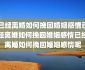 已经离婚如何挽回婚姻感情已经离婚如何挽回婚姻感情已经离婚如何挽回婚姻感情呢