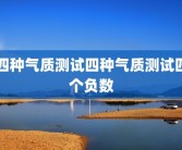 四种气质测试四种气质测试四个负数