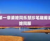 第一章婆媳同乐慧珍笔趣阁婆媳同服