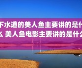 下水道的美人鱼主要讲的是什么 美人鱼电影主要讲的是什么 