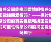 情感公司能挽回爱情吗情感公司能挽回爱情吗？——探讨情感公司的真实性质和挽回爱情的可能性情感公司能挽回爱情吗知乎