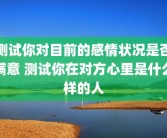 测试你对目前的感情状况是否满意 测试你在对方心里是什么样的人