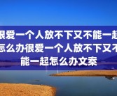 很爱一个人放不下又不能一起怎么办很爱一个人放不下又不能一起怎么办文案