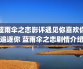 蓝雨伞之恋影评遇见你喜欢你追逐你 蓝雨伞之恋剧情介绍