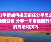分手后如何挽回前任分手怎么挽回爱情 分手一年后挽回前任的方法和技巧