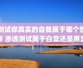 测试你真实的自我属于哪个世界 渗透测试属于白盒还是黑盒