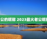 老公的昵称 2023最火老公昵称 