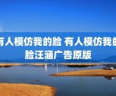 有人模仿我的脸 有人模仿我的脸汪涵广告原版