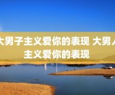 大男子主义爱你的表现 大男人主义爱你的表现 