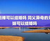 班禅可以结婚吗 同父异母的兄妹可以结婚吗 