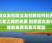前女友和现女友和我如何处理三者之间的关系 别惹前女友电视剧免费观看完整版