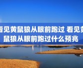 看见黄鼠狼从眼前跑过 看见黄鼠狼从眼前跑过什么预兆 