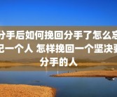 分手后如何挽回分手了怎么忘记一个人 怎样挽回一个坚决要分手的人