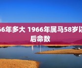 66年多大 1966年属马58岁以后命数 
