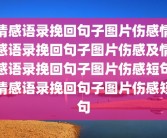 情感语录挽回句子图片伤感情感语录挽回句子图片伤感及情感语录挽回句子图片伤感短句情感语录挽回句子图片伤感短句