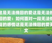 这是无法挽回的爱这是无法挽回的爱：如何面对一段无法修复的感情这是无法挽回的爱英文
