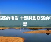 伤感的电影 十部哭到崩溃的电影 