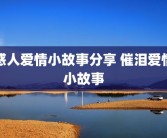 感人爱情小故事分享 催泪爱情小故事