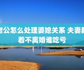 老公怎么处理婆媳关系 夫妻耗着不离婚谁吃亏