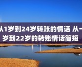 从1岁到24岁转账的情话 从一岁到22岁的转账情话简短 
