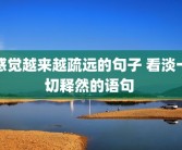 感觉越来越疏远的句子 看淡一切释然的语句 