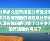 分手多久没有挽回的可能分手多久没有挽回的可能及分手多久没有挽回的可能了分手多久没有挽回的可能了