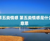 第五类情感 第五类情感是什么意思 
