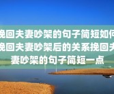挽回夫妻吵架的句子简短如何挽回夫妻吵架后的关系挽回夫妻吵架的句子简短一点