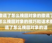 撒谎了怎么挽回对象的撒谎了怎么挽回对象的技巧和话术撒谎了怎么挽回对象的话