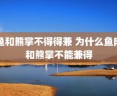 鱼和熊掌不得得兼 为什么鱼肉和熊掌不能兼得
