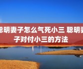 聪明妻子怎么气死小三 聪明妻子对付小三的方法 