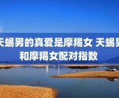 天蝎男的真爱是摩羯女 天蝎男和摩羯女配对指数 