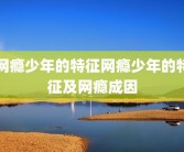 网瘾少年的特征网瘾少年的特征及网瘾成因