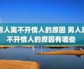 男人离不开情人的原因 男人离不开情人的原因有哪些 