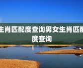 生肖匹配度查询男女生肖匹配度查询