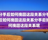 分手后如何挽回这段关系分手后如何挽回这段关系分手后如何挽回这段关系呢