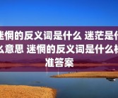 迷惘的反义词是什么 迷茫是什么意思 迷惘的反义词是什么标准答案