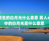 男生的白月光什么意思 男人心中的白月光是什么意思 