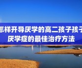 怎样开导厌学的高二孩子孩子厌学症的最佳治疗方法