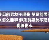 梦见前男友不理我 梦见前男朋友怎么回事 梦见前男友不理我我很伤心