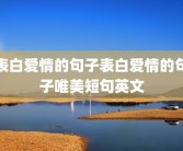 表白爱情的句子表白爱情的句子唯美短句英文
