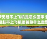 梦见赶不上飞机是怎么回事 梦见赶不上飞机很着急什么意思