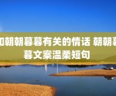 和朝朝暮暮有关的情话 朝朝暮暮文案温柔短句 