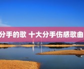 分手的歌 十大分手伤感歌曲 