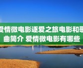 爱情微电影逐爱之旅电影和歌曲简介 爱情微电影有哪些