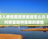 陷入感情困境想离婚怎么办 如何修复即将离婚的感情